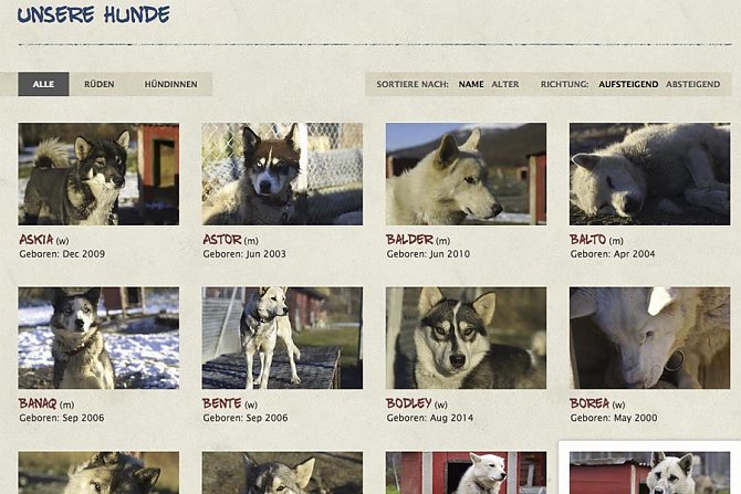 Alle Hunde auf der Website
